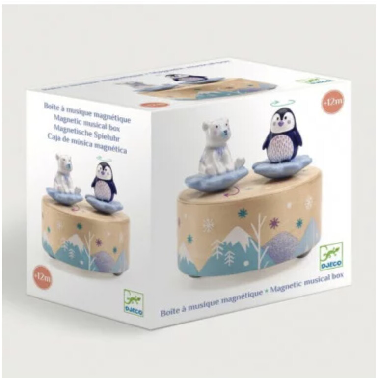 DJ06063 Magnetic music box / Ice Park Melody