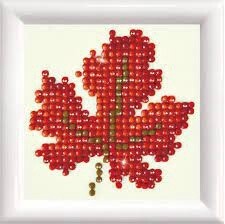DDS021F Autumn Dream DD Kit with Frame