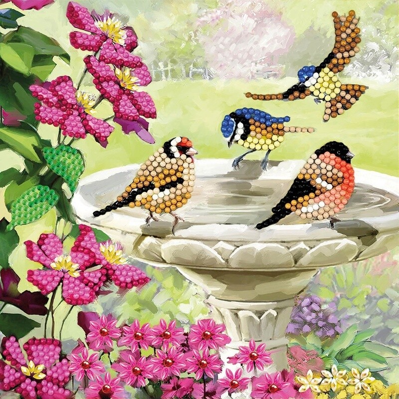 CA-48535 CA Card - Birds