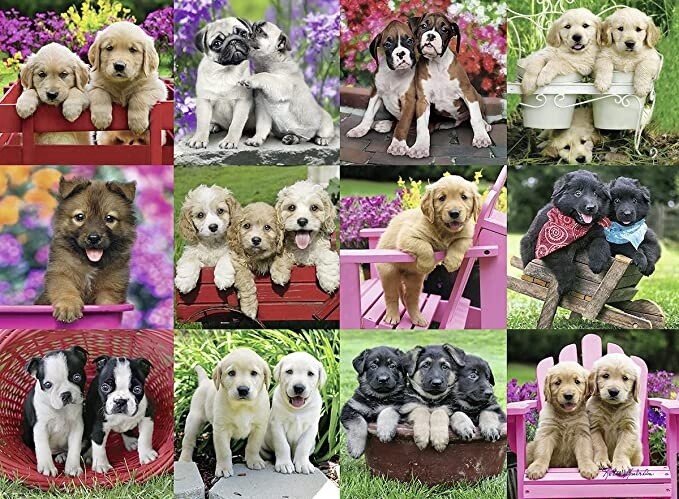 14659 Puppy Pals 500pc