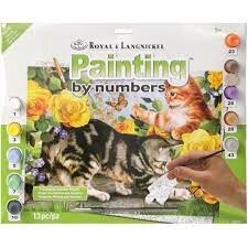 R-37373 Large PBN Kitten Play