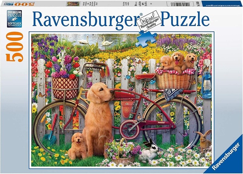 15036 Cute dogs in the garde