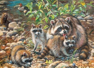 54607 Raccoon Family (Family)