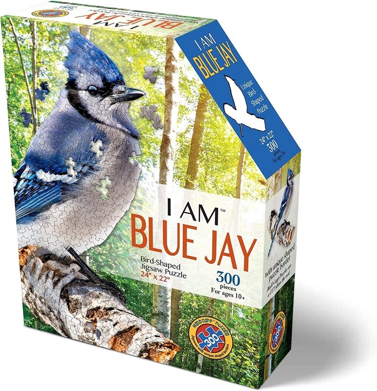 M-56940 I AM Blue Jay (300 pc)