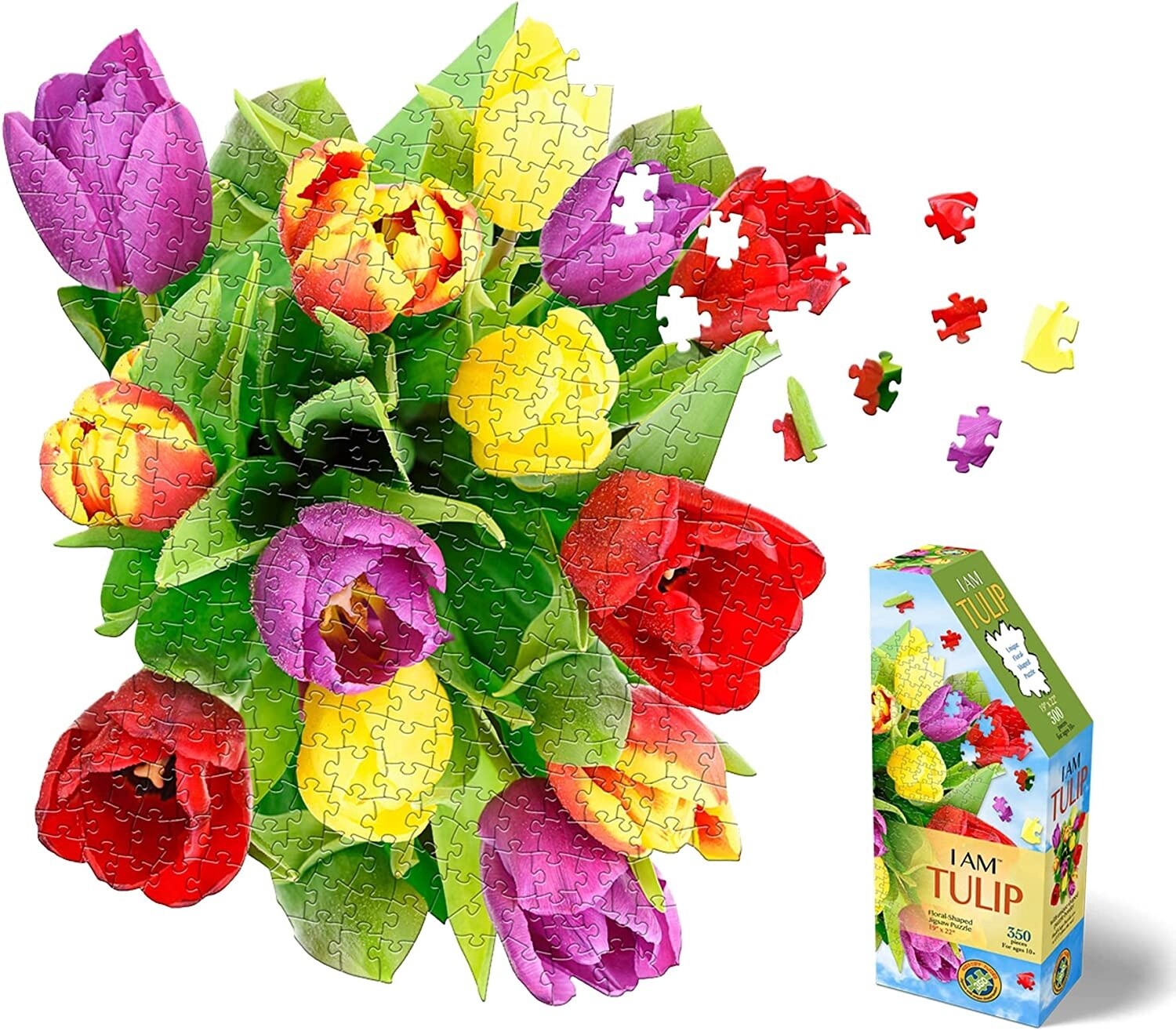 M-28310 I AM Tulip (350 pc)