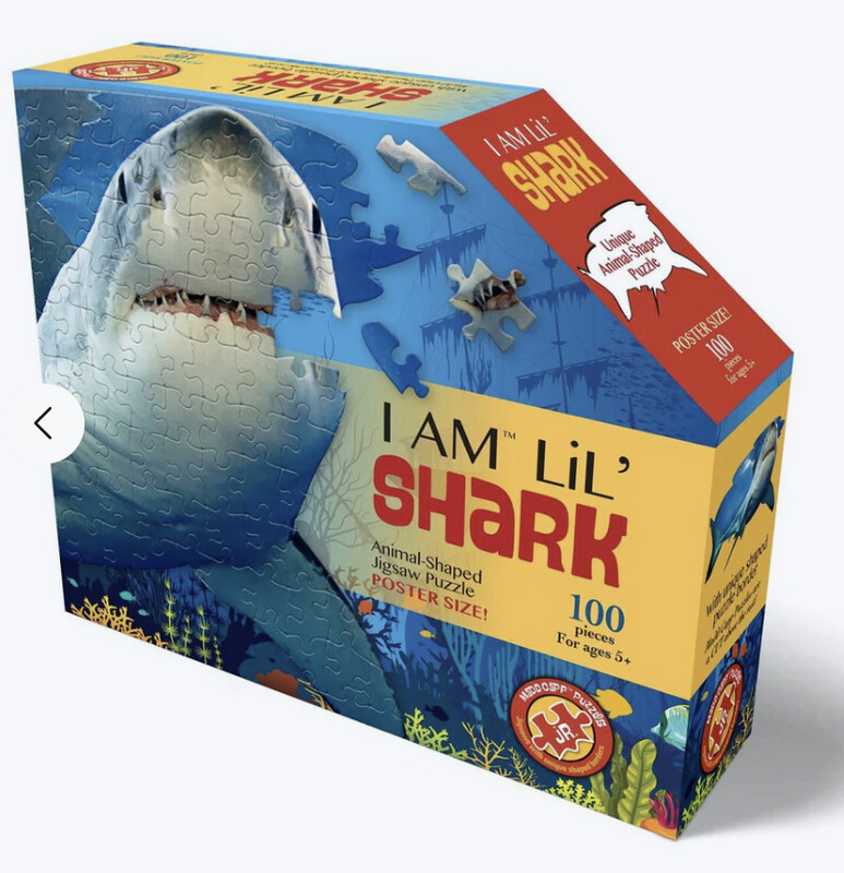 M-31801 I AM Lil&#39; Shark (100 pc)
