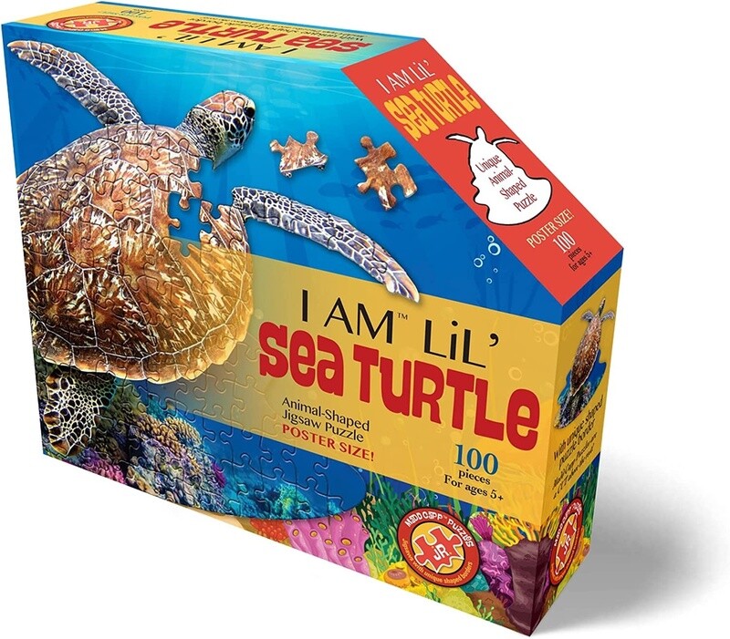M-47980 I AM Lil&#39; Sea Turtle (100 pc)