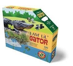 M-56948 I AM Lil&#39; Gator (100 pc)