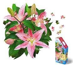 M-28307 I AM Lily (350 pc)
