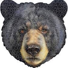 M-42766 I AM Bear (300 pc)