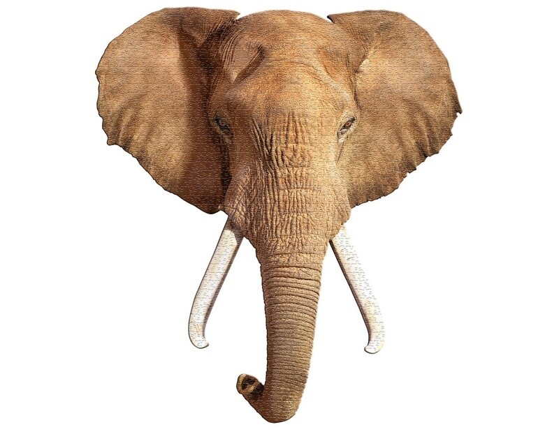 M-34325 I AM Elephant (700 pc)