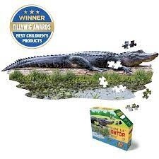 M-56948 I AM Lil' Gator (100 pc)
