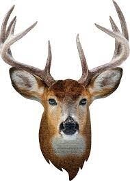M-45213 I AM Buck (550 pc)
