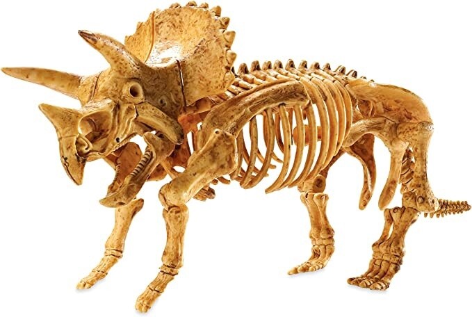 MW-24736 Dig It Up! Triceratops