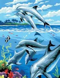 R-99373 PBN Dolphins