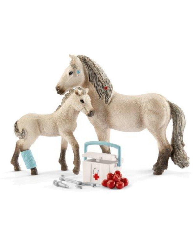 42430 HORSE CLUB - FIRSTAID KIT FOR ICELANDIC HORSES (5)