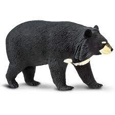 100044 Moon Bear