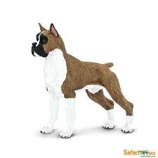 100062 Boxer