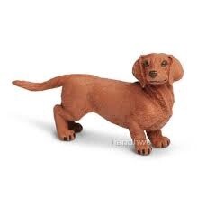 251529 Dachshund