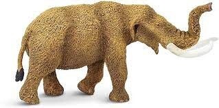 100081 American Mastodon