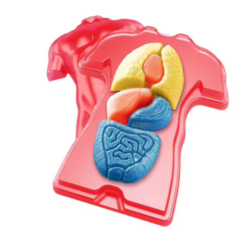 550032 GROSS ANATOMY: MAKE-YOUR-OWN SQUISHY HUMAN BODY