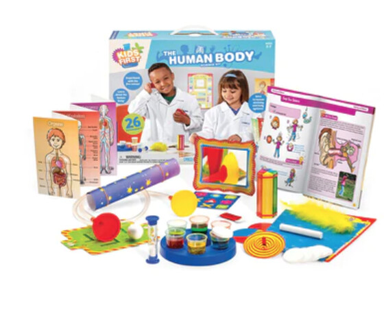 567003 THE HUMAN BODY