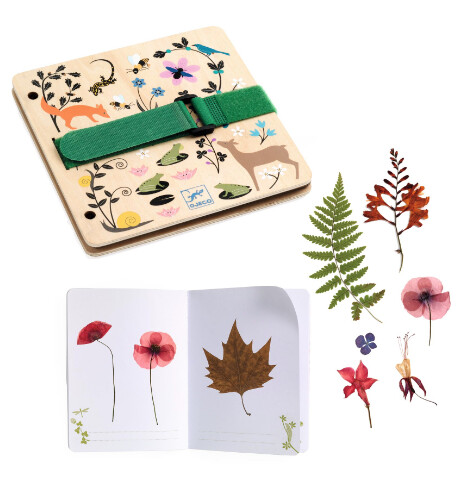DJ07973 DIY / Budding botanist