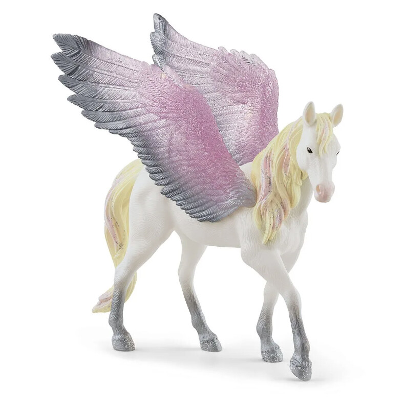 70720 Sunrise Pegasus