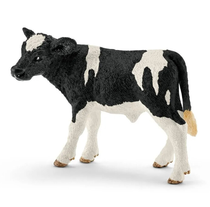 13798  HOLSTEIN CALF