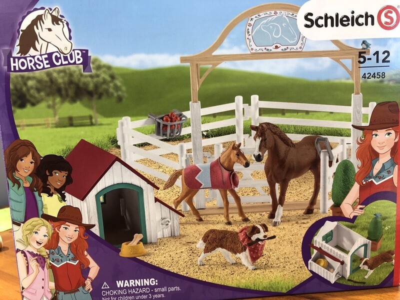 42458 HORSE CLUB - HANNAH'S GUEST HORSES w/RUBY THE DOG (1)