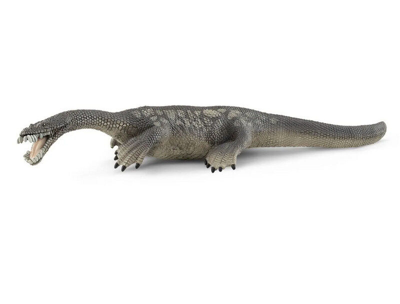 15031 Nothosaurus