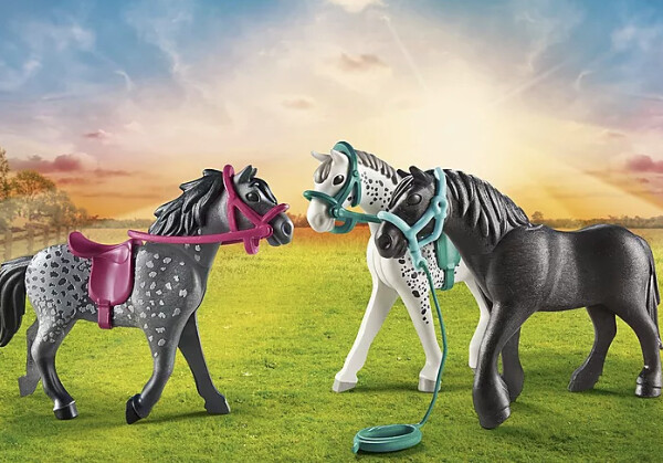 70999 Horse Trio