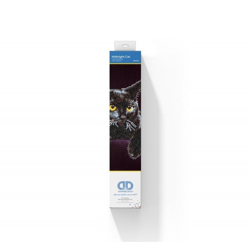 DD5001 Midnight Cat