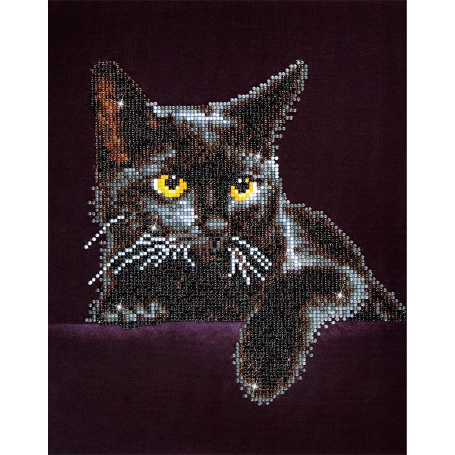 DD5001 Midnight Cat