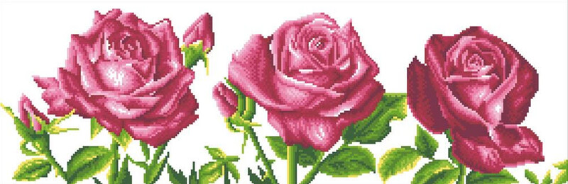 DD9 014 Les Roses du Jardin