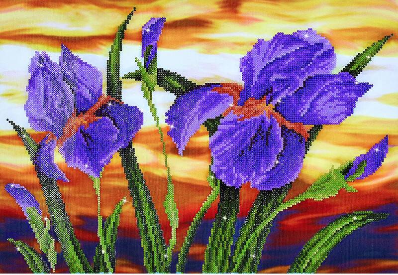 DD9016 Iris Sunset