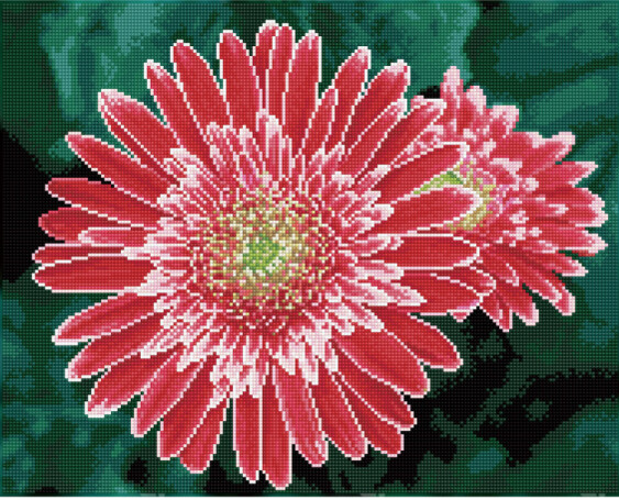 DQ10.001 Pink Gerberas