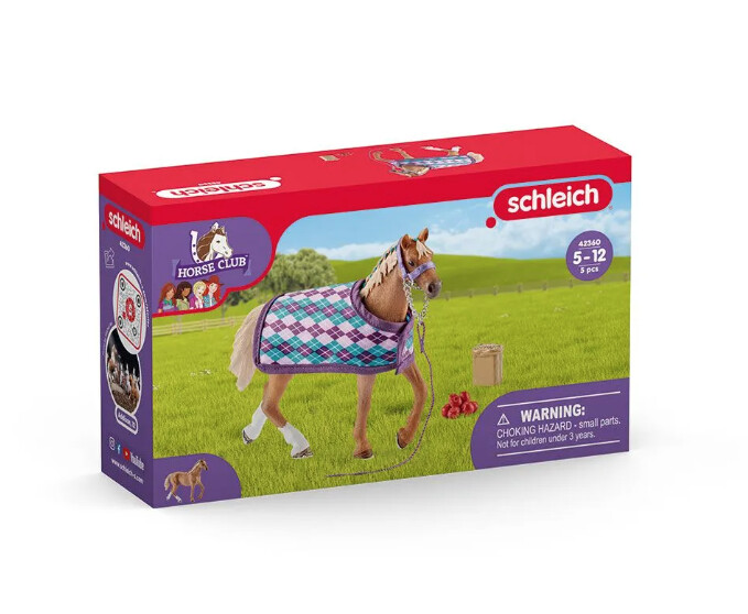 42360 English Thoroughbred with blanket