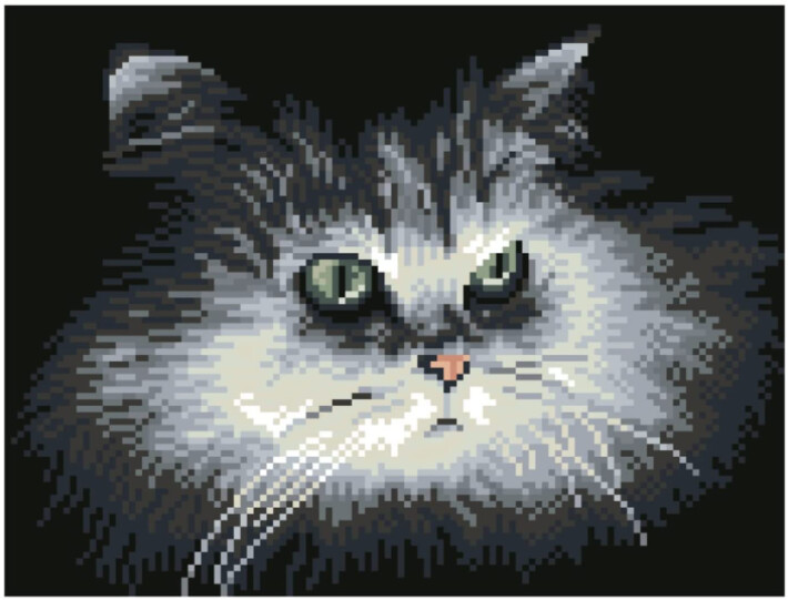DQ7.002 Shadow Cat