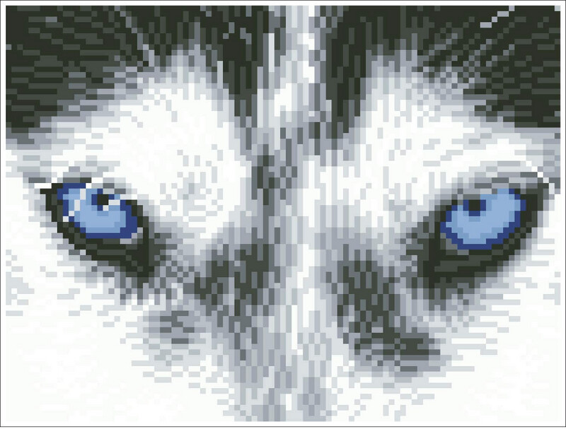 DQ7.004 Mystic Husky