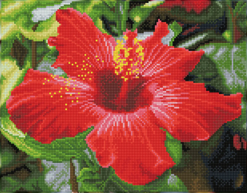 DQ8.018 Hibiscus In Bloom