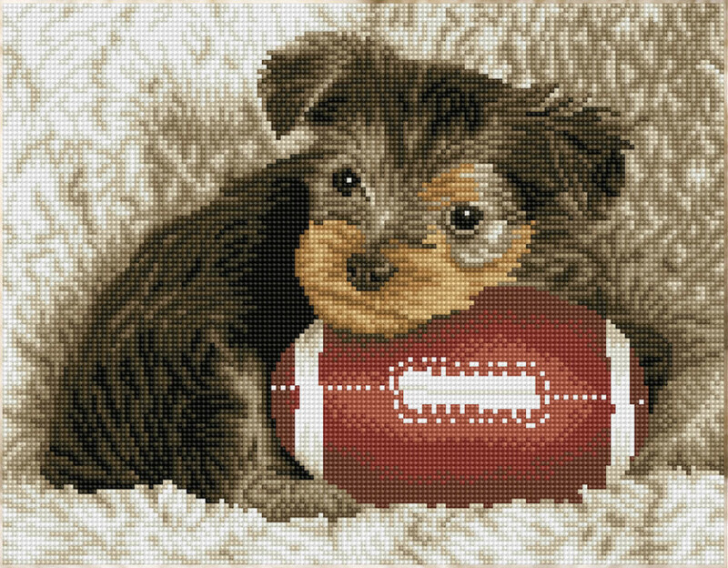 DQ8.017 Footy Pup