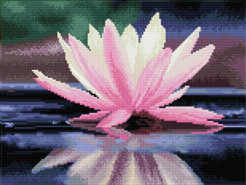 DQ8.008 Reflections