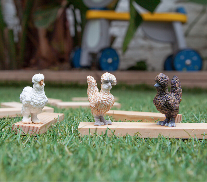 42574 Chicken Friends