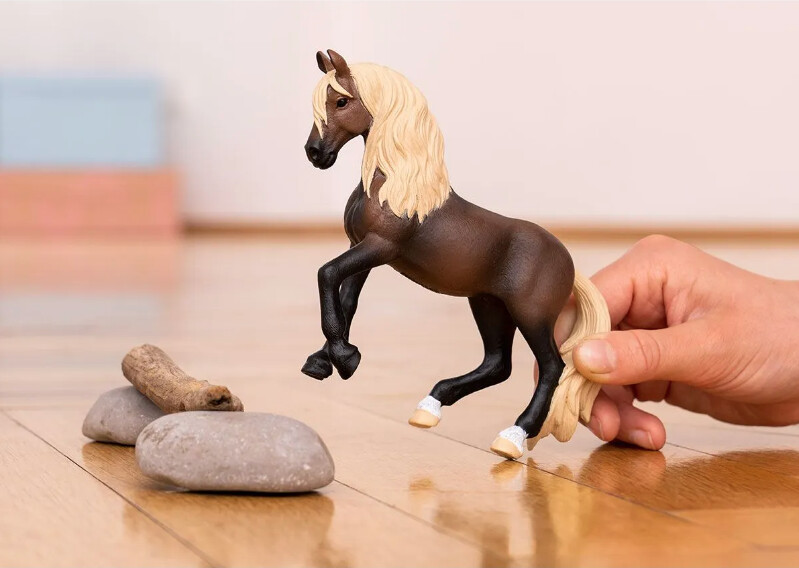 13952 Paso Peruano stallion