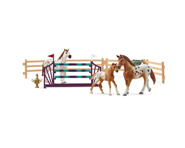42433 HORSE CLUB - Lisa#s tournament training