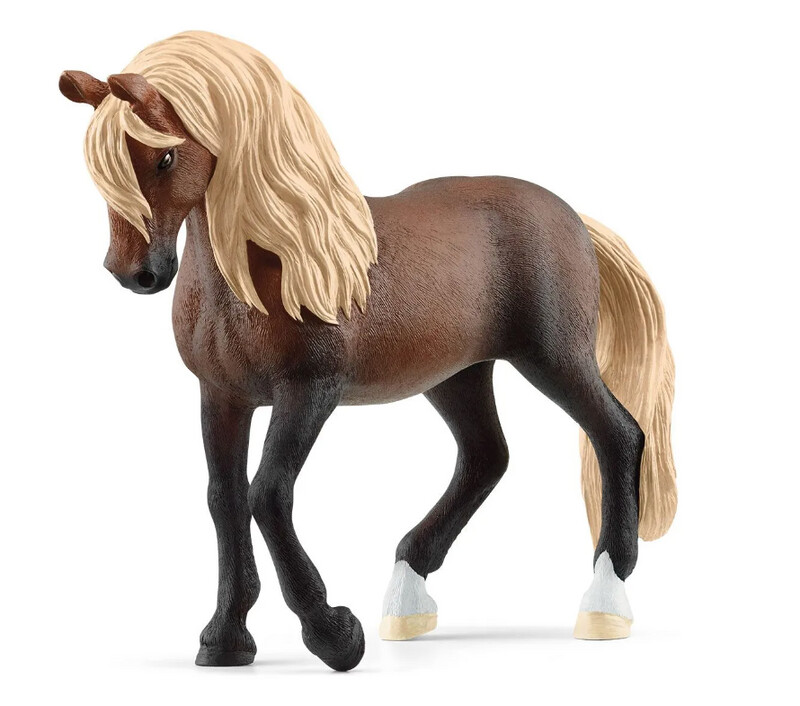 13952 Paso Peruano stallion
