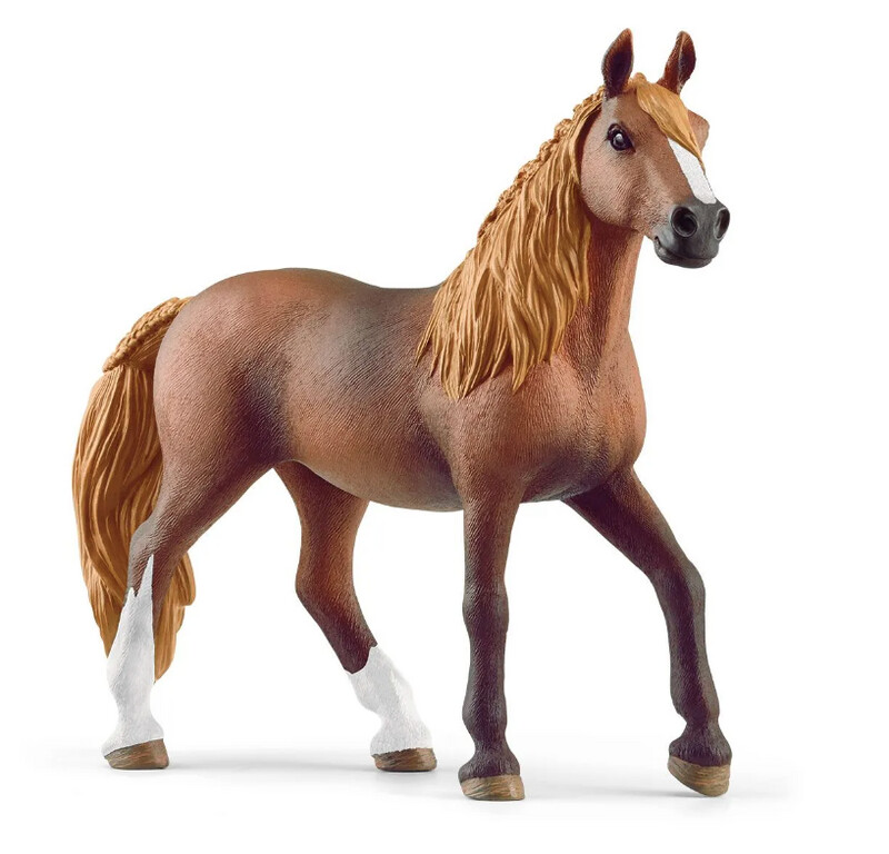 13953 Paso Peruano mare