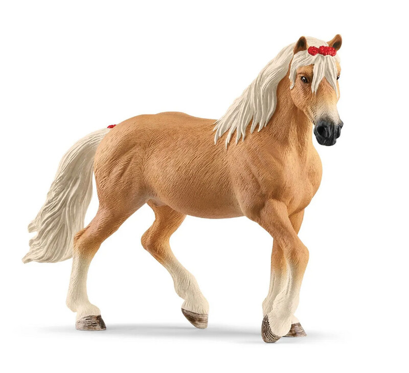 13950 Haflinger mare