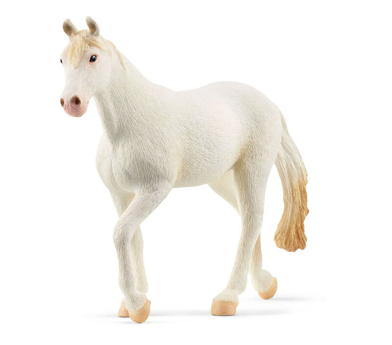 13959 Camarillo Mare